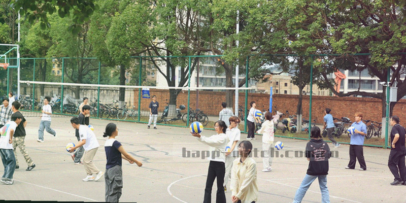 42项服务清单分类索引图示，展示赛事、数据、适配等模块